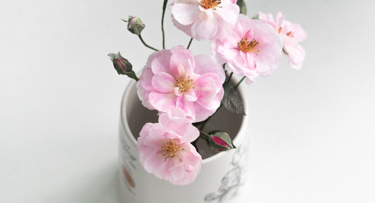roses, paper flowers, bloom-8031095.jpg